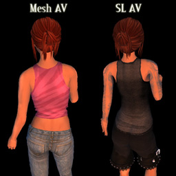 ms